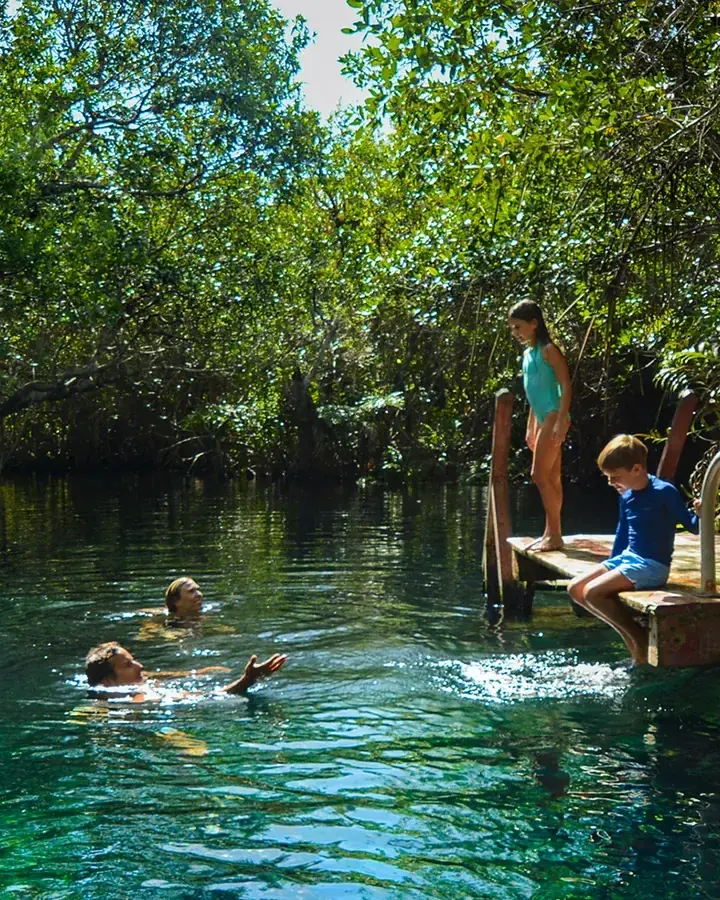 Cenote entre manglares en el Parque Natural Tres Ríos